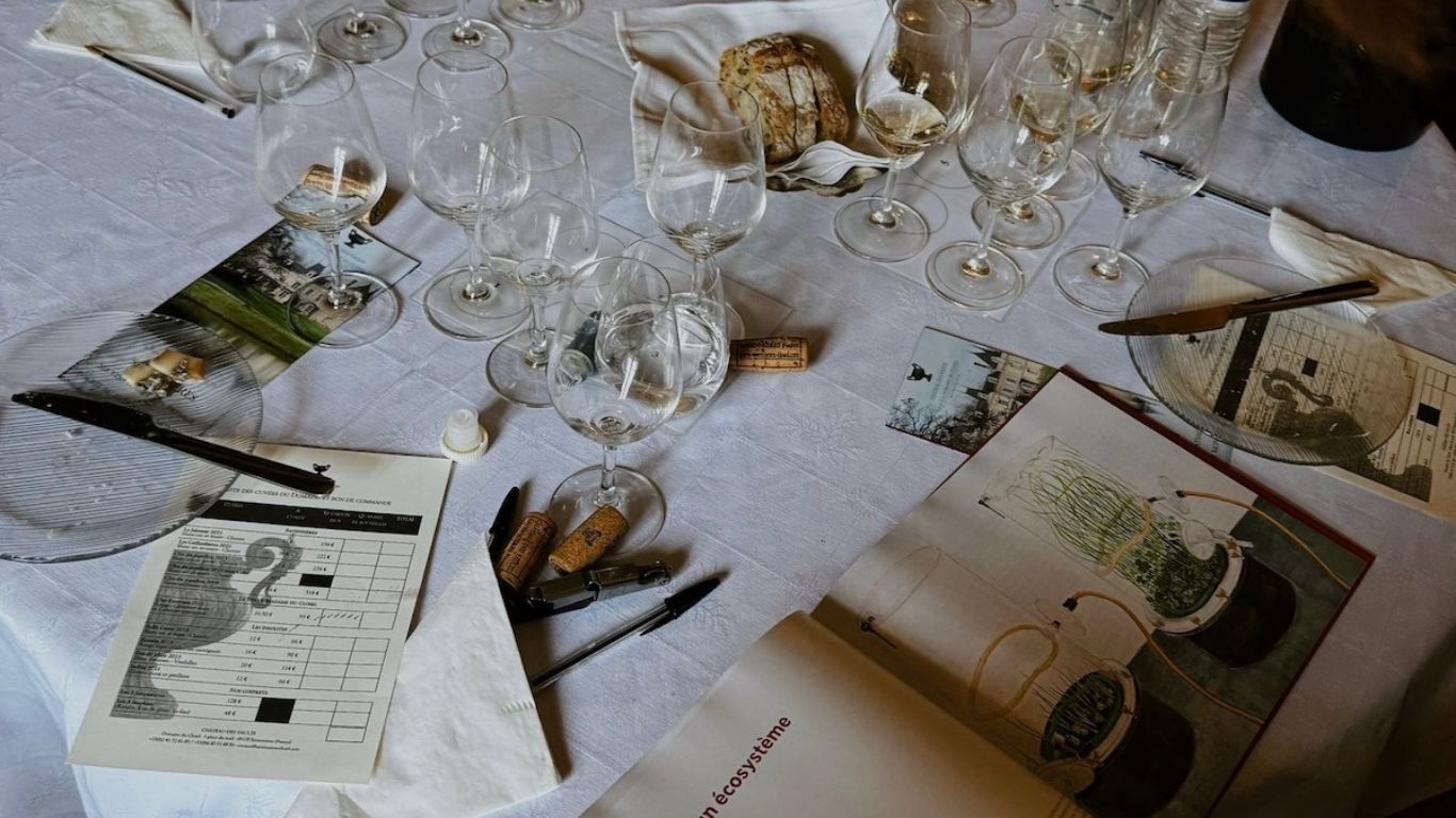 Wine tasting Savennieres